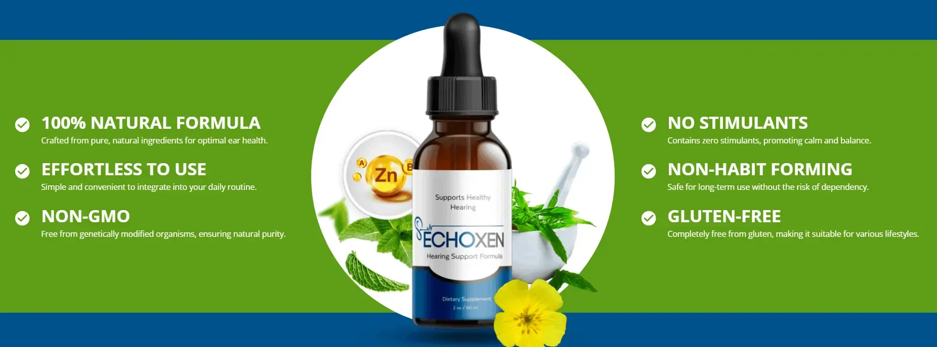 echoxen-buy-now
